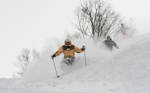 日高国際スキー場・大人ナイター共通シーズン券 90547 - 北海道日高町