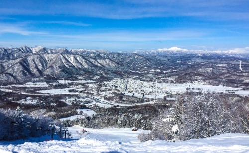 日高国際スキー場・シニアナイター共通シーズン券 90548 - 北海道日高町