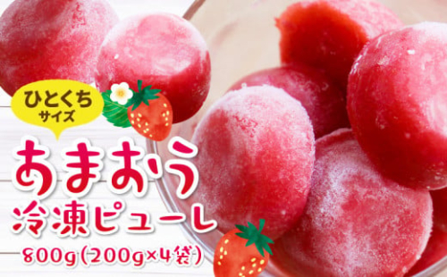 一口サイズ【あまおう95％】いちごの冷凍ピューレ 200g×4袋_ひとくちサイズ そのまま ミルクに混ぜて スムージー 冷凍 ピューレ ひとくち 200g × 4袋 800g あまおう 苺 アイス デザート スイーツ よっちゃんファーム お取り寄せ お取り寄せグルメ 福岡県 久留米市 送料無料_Dw042