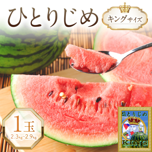 やまの農園　「ひとりじめ」キングサイズ　1玉≪先行予約≫【2026年6月中旬より順次発送予定】 905738 - 和歌山県御坊市