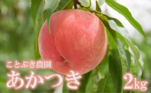 No.2686もも「あかつき」約2kg【2025年発送　先行予約】