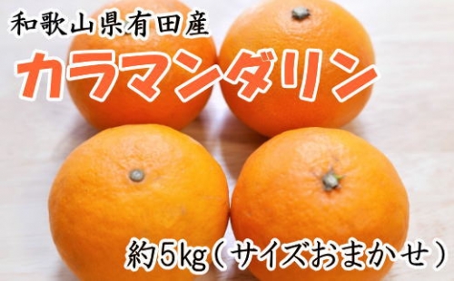 和歌山県有田産カラマンダリン約5kg（サイズおまかせ）