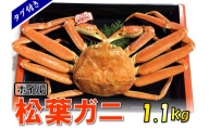 1540【魚倉】タグ付きボイル松葉ガニ (特特大1,100g)