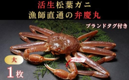 鳥取県で水揚げされる冬の味覚「松葉ガニ」漁師自ら目利きし水揚げしたブランドタグ付きを「活生」でお届けします。お刺身、茹で、焼き、カニすきなど存分にお楽しみいただけます。ゆでたボイルガニは、取り扱ってお