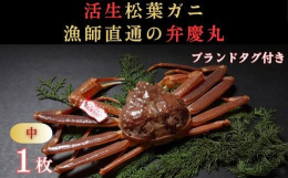鳥取県で水揚げされる冬の味覚「松葉ガニ」漁師自ら目利きし水揚げしたブランドタグ付きを「活生」でお届けします。お刺身、茹で、焼き、カニすきなど存分にお楽しみいただけます。ゆでたボイルガニは、取り扱ってお