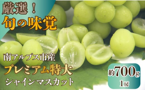 【25年発送先行予約】厳選！南アルプス市産　プレミアム特大シャインマスカット　700g以上　１房 ALPDD011