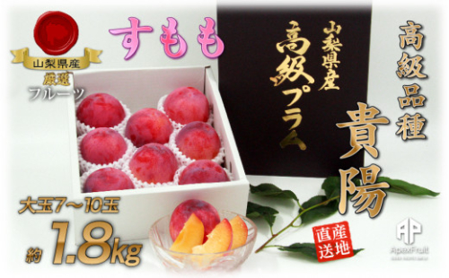 【25年発送先行予約】 南アルプス市産　『貴陽』　特選大玉約1.8kg（7～10玉） ALPDD014