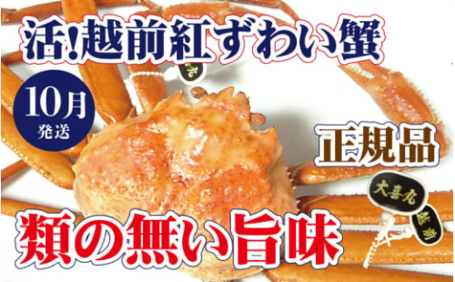 活！越前 紅ずわいがに × 1杯 旨味満点！！【紅ズワイガニ 紅ずわい蟹 かに カニ 蟹 姿 生 ボイル 冷蔵 福井県】【10月発送分】【生でお届け】希望日指定不可 [e37-x002_10a]