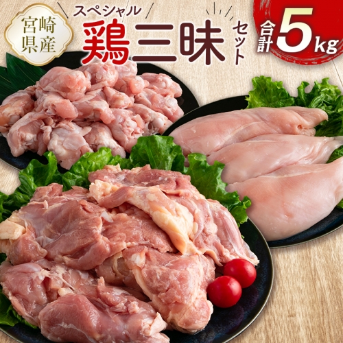宮崎県産鶏肉 スペシャル鶏三昧セット 合計5kg【B607】 906143 - 宮崎県新富町