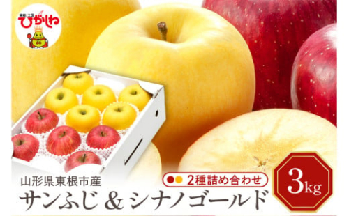 【令和7年産 先行予約】りんご サンふじ&シナノゴールド 詰め合わせ 3kg(秀品) 東根市 山形県 東根農産センター提供 hi027-209-1