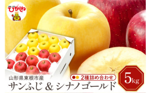 【令和7年産 先行予約】りんご サンふじ&シナノゴールド 詰め合わせ 5kg(秀品) 東根市 山形県 東根農産センター提供 hi027-208-1
