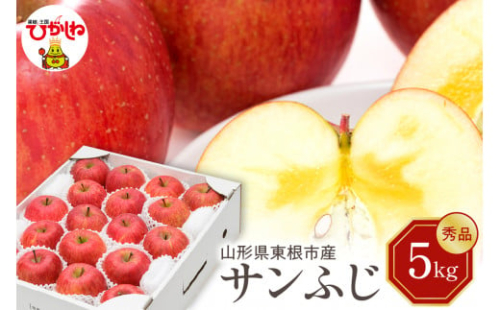 【令和7年産 先行予約】りんご サンふじ 5kg(秀品) 東根市 山形県 東根農産センター提供 hi027-206-1