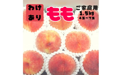 ＜訳あり＞桃 約1.5kg 山梨 の 完熟桃 ご家庭用 _ ふるさと納税 ふるさと 桃 もも モモ 完熟 わけあり 訳アリ フルーツ 果物 くだもの 山梨県 山梨市 山梨 人気 送料無料【1406099】