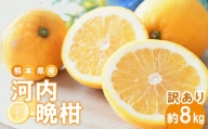 熊本県産 訳あり 河内晩柑 約8kg 果物 フルーツ 和製 グレープフルーツ 晩柑 柑橘 柑橘類