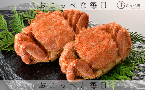 【今年水揚げ！】冷凍浜茹で毛がに2尾セット(1尾660g前後) 北海道オホーツク産