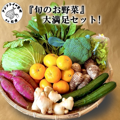 【A6-010】道の駅松浦海のふるさと館『旬のお野菜』の大満足セット！