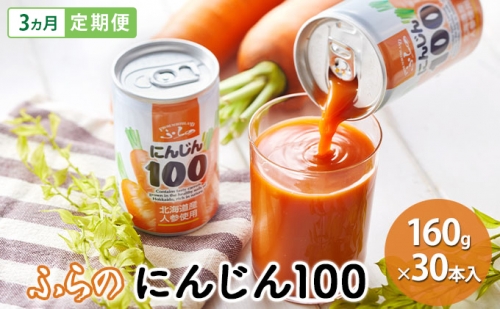 【 3ヵ月 定期便 】ふらの にんじん100 160g×30本入　野菜  ジュース