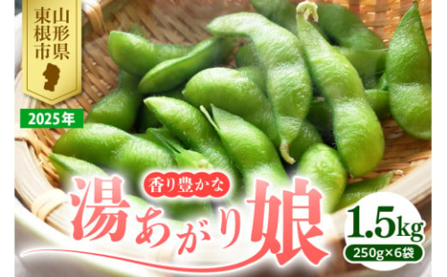 【2025年 先行予約】 枝豆「湯あがり娘」1.5kg JA提供 山形県 東根市　hi003-129-1