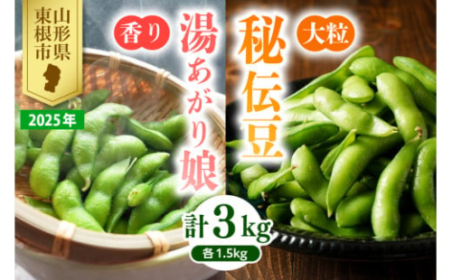 【2025年 定期便 全2回】 枝豆「湯あがり娘」1.5kg と 「秘伝豆」 1.5kg JA提供 山形県 東根市　hi003-131-1