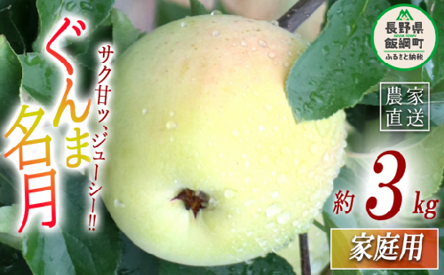 りんご ぐんま名月 家庭用 3kg 丸山りんご園 沖縄県への配送不可 2025年11月上旬頃から2025年12月上旬頃まで順次発送予定 令和7年度収穫分 信州 果物 フルーツ リンゴ 林檎 長野 11000円 予約 農家直送 長野県 飯綱町 [1633]