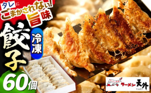 岐阜老舗ラーメン店天外 冷凍自家製餃子セット６０個入り 簡単調理 自宅で本格餃子 主婦応援 おつまみ 中華 惣菜 岐阜市/カツヤプロジェクト [ANCT021]