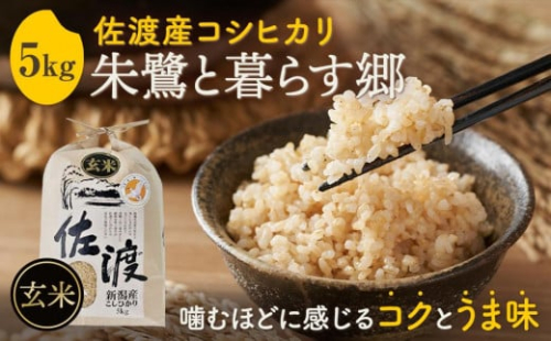 米 玄米 朱鷺と暮らす郷 佐渡産 コシヒカリ ( 5kg ) 【令和6年産】