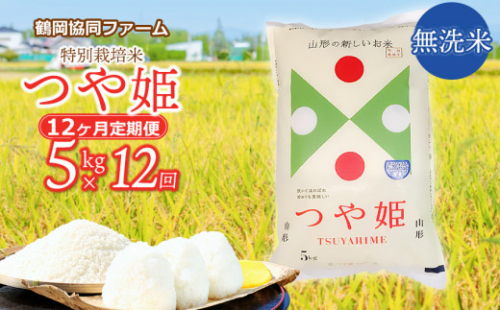 【令和7年産先行予約】特別栽培米つや姫 無洗米 5kg (5kg×1袋)×12ヶ月【定期便】　鶴岡協同ファーム 
