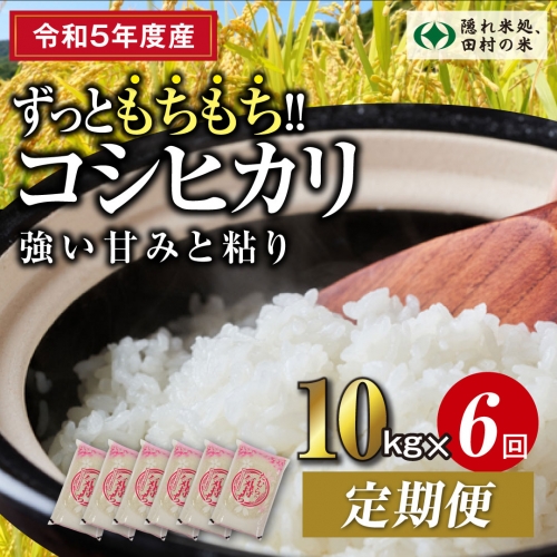 令和4年産 定期便 6回】 コシヒカリ 5kg × 2袋 計 10kg 毎月 お届け お