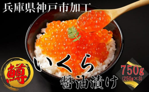 鱒いくら醤油漬け750g（250g×3パック）