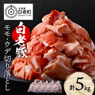 北海道産 白老豚 モモ ウデ 切り落とし5kg 豚肉 冷凍 国産 スライス