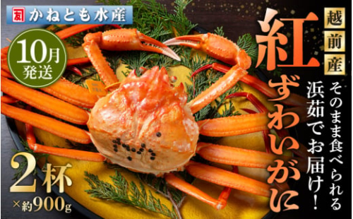 ≪浜茹で≫越前産 紅ずわいがに 約900g × 2杯 食べ方しおり付【紅ズワイガニ カニ かに 蟹 姿 ボイル 冷蔵 福井県】【10月発送分】希望日指定不可 [e14-x001_10]