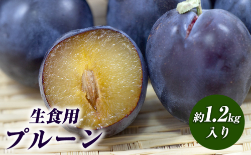 【2025年分 先行予約】生食用プルーン約1.2kg入り 果物 フルーツ ビタミン ミネラル 食物繊維 ポリフェノール 生プルーン  909993 - 長野県長野市