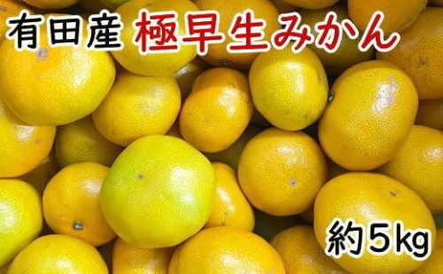 有田産極早生みかん約5kg（サイズ混合）★2025年10月中旬頃より順次発送［TM200w］
