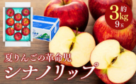 シナノリップ　約3kg（9玉）　[№5675-1340]