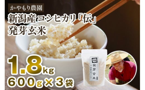 【令和6年産米】[発芽玄米] 新潟産コシヒカリ「伝」発芽玄米1.8kg（600g×3袋）かやもり農園
