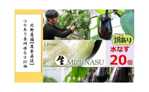 北野農園【農家直送】ワケあり泉州水なす20個 /訳あり 家庭用 不揃い 規格外 生なす 泉州水なす 水なす 泉州水ナス 水ナス 茄子