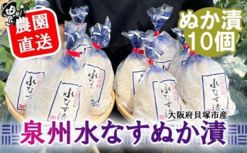 北野農園　泉州水なすぬか漬10個