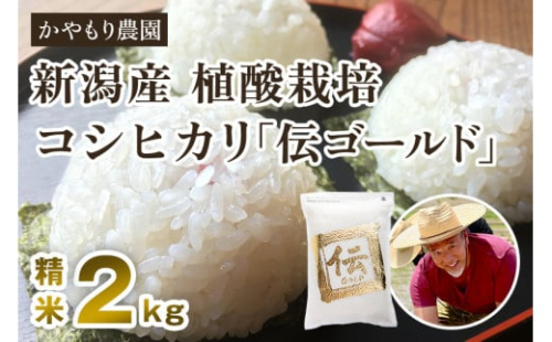 【令和6年産米】新潟産コシヒカリ「伝ゴールド」白米真空パック 精米2kg 南麻布の高級料亭で提供される極上米 かやもり農園