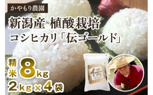 【令和6年産米】新潟産コシヒカリ「伝ゴールド」精米8kg（2kg×4）白米 真空パック 分とく山 新潟産 新潟県産 南麻布の高級料亭で提供される極上米 かやもり農園