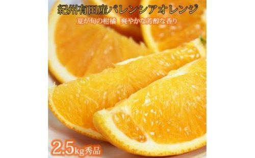 秀品 希少な国産バレンシアオレンジ 2.5kg【2025年6月下旬頃～2025年7月上旬頃に順次発送】【UT75】【uot752】
