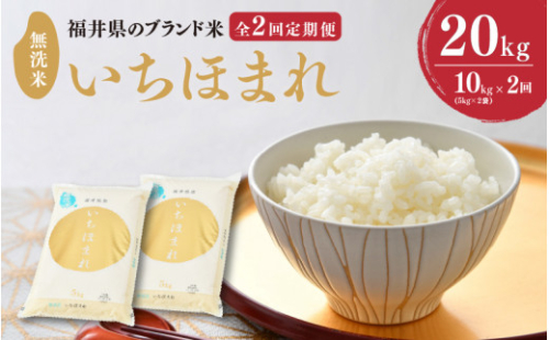 【令和6年産】 定期便 ≪2ヶ月連続お届け≫ 福井県のブランド米 いちほまれ 無洗米 10kg × 2回 計20kg 【 無洗米 人気 品種 ブランド米 特A 】 [G-6102]