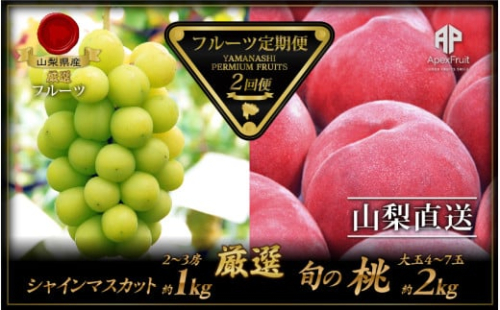 ＜2025年発送分先行予約＞厳選！南アルプス市産　『フルーツ定期２回便』 ALPDD006　| フルーツ定期便 フルーツ 果物 もも  シャインマスカット 桃 ぶどう 人気 ランキング  山梨県 山梨県産 南アルプス |