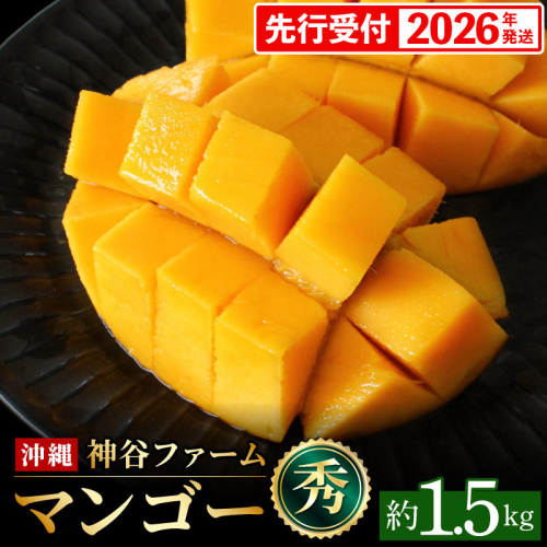 【化粧箱入】【先行受付・2026年発送】神谷ファームのマンゴー（秀）約1.5Kg - 先行予約 沖縄県産 産地直送 南国フルーツ 旬の味覚 季節の果物 贈り物 ギフト 沖縄県 八重瀬町 91107 - 沖縄県八重瀬町