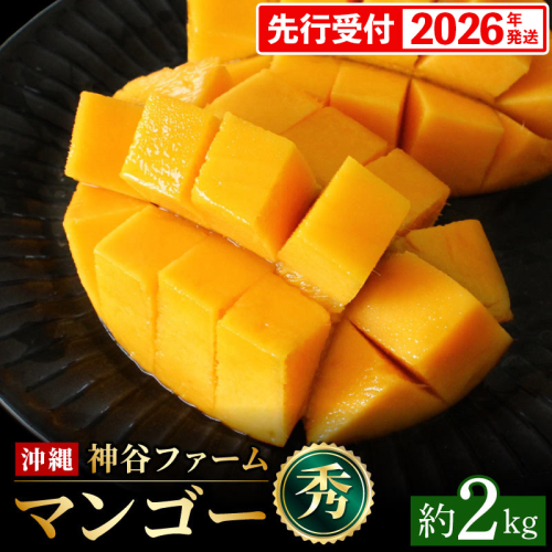 【化粧箱入】【先行受付・2026年発送】神谷ファームのマンゴー（秀）約2kg - 先行予約 沖縄県産 産地直送 南国フルーツ 旬の味覚 季節の果物 贈り物 ギフト 沖縄県 八重瀬町 91108 - 沖縄県八重瀬町