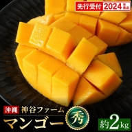 【2022年発送】神谷ファームのマンゴー（秀）約2kg