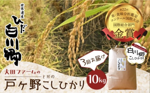 《先行予約》定期便 3回 令和5年産 新米 白川郷 戸ヶ野のこしひかりプレミアム 10kg 3回お届け お米 大田ファーム [S440]