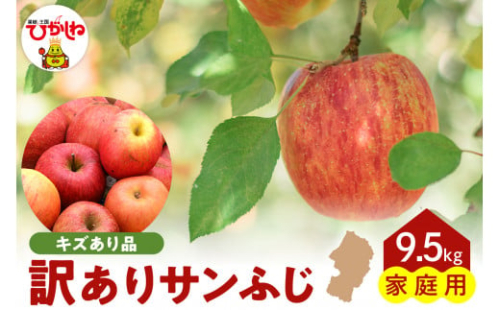【令和7年産 先行予約】※訳あり※ サンふじ満杯詰(約9.5kg) 東根市 山形県 東根農産センター提供 hi027-203-1