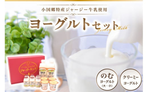 【小国郷特産ジャージー牛乳を使用！】ヨーグルトセット（YS-1） 小国郷特産 ジャージー牛乳 ヨーグルト セット 2種 飲むヨーグルト のむヨーグルト 900ml 150ml クリーミーヨーグルト 110g 詰め合わせ セット ギフト 贈答用 乳飲料 乳製品 ご当地 熊本 阿蘇 南小国町 小国町 送料無料