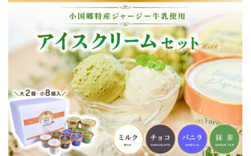 【小国郷特産ジャージー牛乳を使用！】アイスクリームセット(大2個・小8個入り)  阿蘇 小国郷特産 ジャージー牛乳 アイスクリーム セット 10個 480ml 130ml バニラ 抹茶 チョコ ミルク  氷菓 アイス 詰め合わせ ギフト 贈答用 お取り寄せ 熊本 南小国町 送料無料