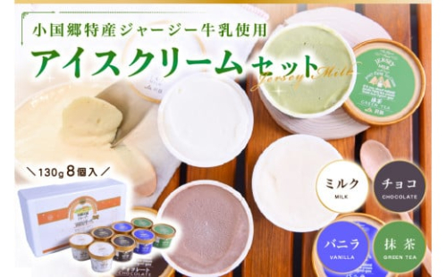 【小国郷特産ジャージー牛乳を使用！】アイスクリームセット(8個入り)（IS-2） 阿蘇 小国郷特産 ジャージー牛乳 アイスクリーム 8個 4種 セット バニラ 抹茶 チョコ ミルク アイス 詰め合わせ セット 飲料 乳飲料 ギフト 贈答用 お取り寄せ 熊本 南小国町 送料無料